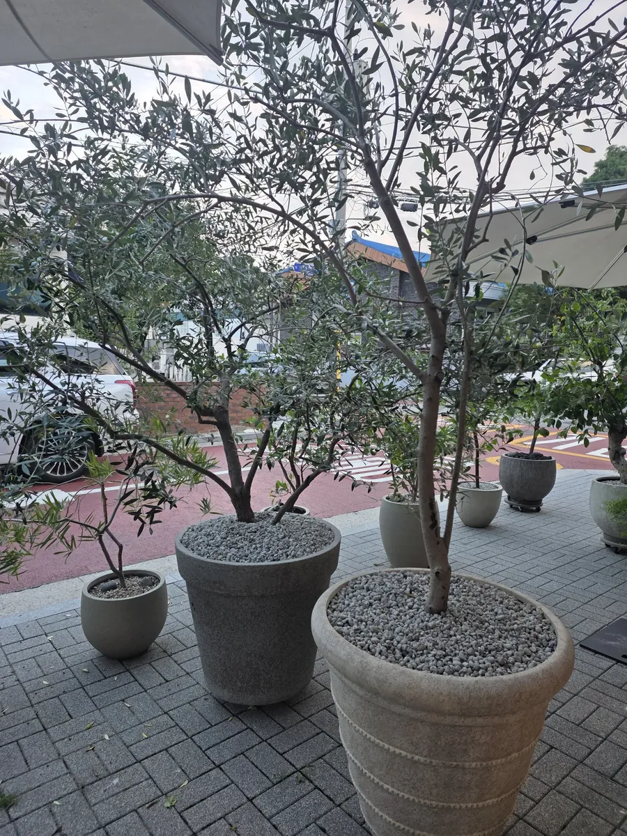 강남 프리랜서 클래스 건물 앞 화분이 늘어선 산책로